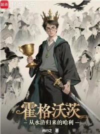 霍格沃茨：从水浒归来的哈利